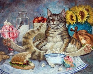 Картина по номерам «Довольный кот»