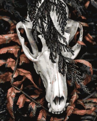 Картина по номерам «Ритуал» Картина по номерам «Ритуал»