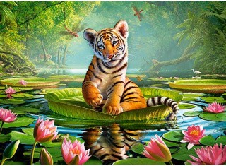 Пазлы «Тигровая лилия»