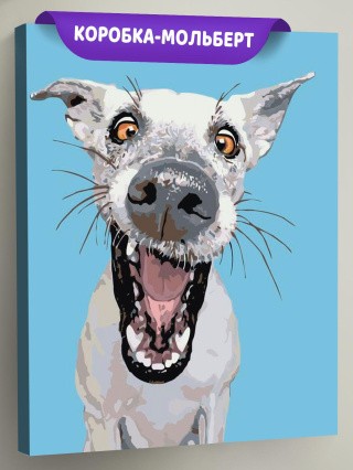 Картина по номерам «Фрэнки» Картина по номерам «Фрэнки»