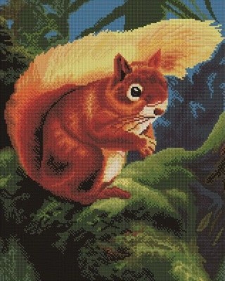 Алмазная вышивка «Белка» Алмазная вышивка «Белка»