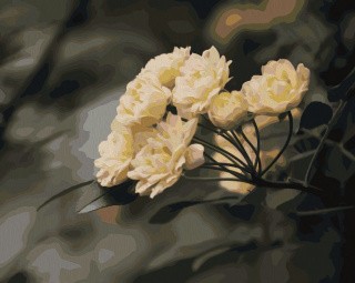 Картина по номерам «Lutea plena» Картина по номерам «Lutea plena»