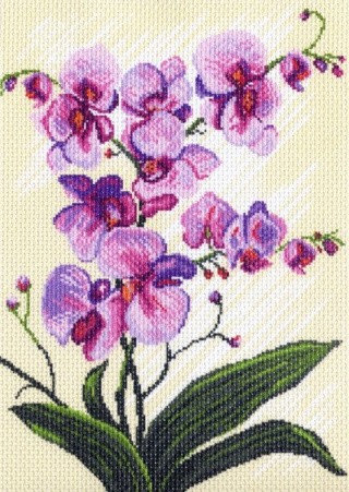 Рисунок на ткани «Орхидеи, композиция»