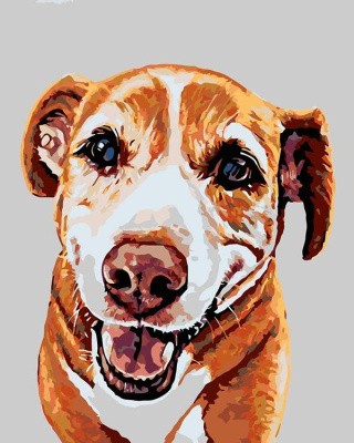 Картина по номерам «Симба» Картина по номерам «Симба»