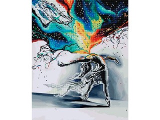 Алмазная картина-раскраска «Всплеск чувств»