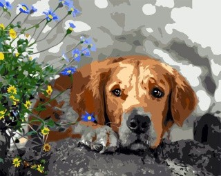 Картина по номерам «Задумчивый пёс» Картина по номерам «Задумчивый пёс»