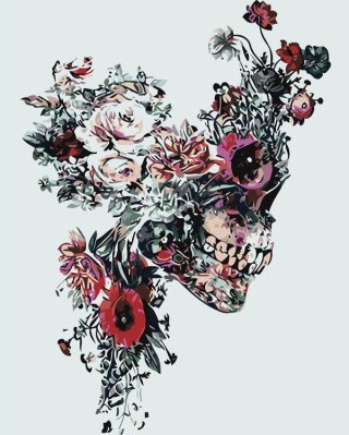 Картина по номерам «Череп» Картина по номерам «Череп»