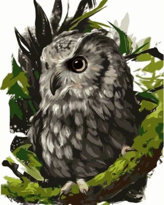 Картина по номерам «Серьезная сова» Картина по номерам «Серьезная сова»