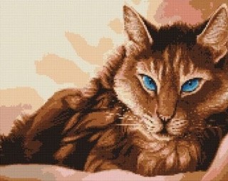 Алмазная вышивка «Голубоглазая кошка»