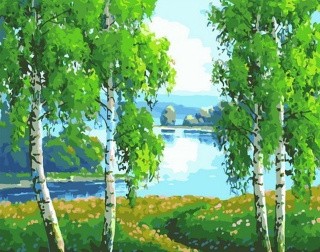 Картина по номерам «Березы у реки»