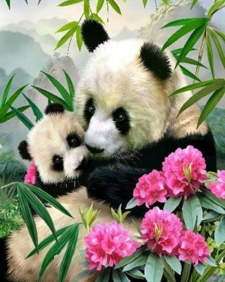 Картина по номерам «Мать и дитя. Панды» Картина по номерам «Мать и дитя. Панды»