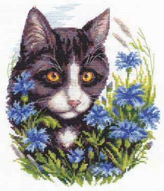 Набор для вышивания «Кот в васильках»