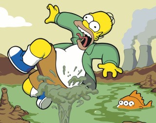 Картина по номерам «Simpsons Симпсоны: Гомер 2»