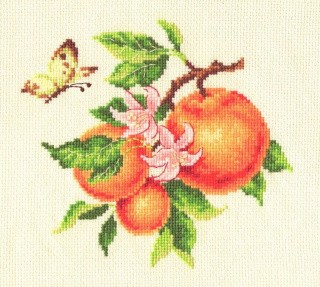 Набор для вышивания «Ветка апельсина»