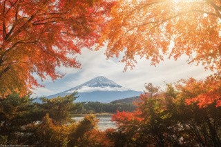 Пазлы «Осень в Японии»
