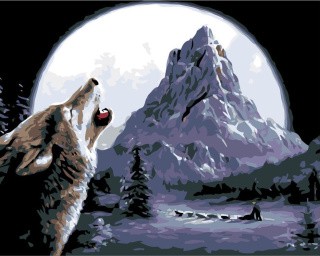 Картина по номерам «Ночной волк»