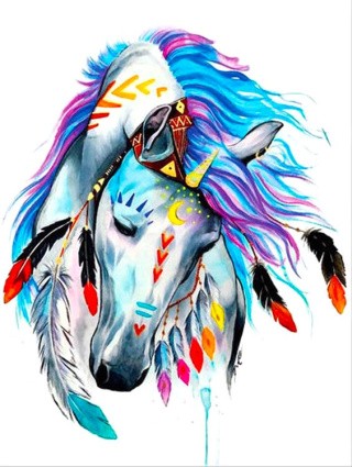 Алмазная вышивка «Индейская лошадь»