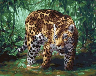 Картина по номерам «Леопард в джунглях»