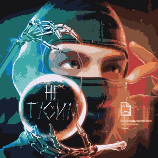 Картина по номерам «Рэп музыкант Toxis Токсис: Не тусим»