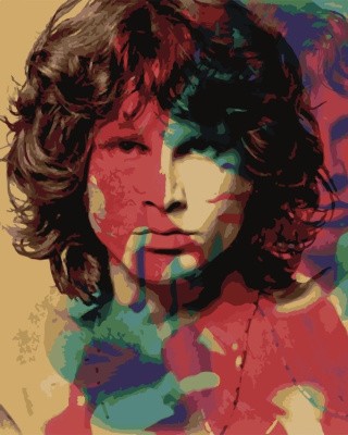 Картина по номерам «Моррисон» Картина по номерам «Моррисон»