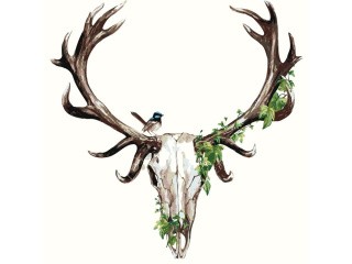 Картина по номерам «Череп» Картина по номерам «Череп»