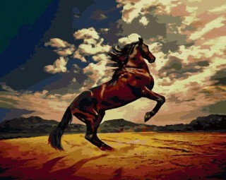 Картина по номерам «Мустанг» Картина по номерам «Мустанг»