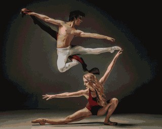 Картина по номерам «Грация» Картина по номерам «Грация»