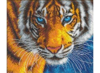 Набор вышивки бисером «Взгляд Тигра»