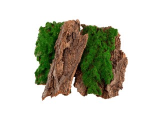 Кора дерева для декора FBC-01 4 шт., Blumentag Кора дерева для декора FBC-01 4 шт., Blumentag