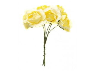 Набор цветов «Бальзамин желтый»