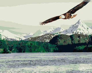 Картина по номерам «Орел на охоте»