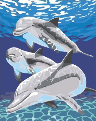 Картина по номерам «Дельфины в воде»