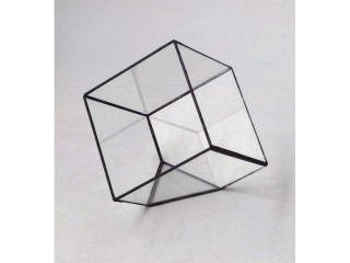 Флорариум куб