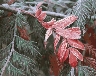 Картина по номерам «Морозные листья» Картина по номерам «Морозные листья»
