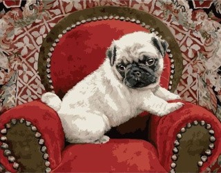 Картина по номерам «Щенок в кресле» Картина по номерам «Щенок в кресле»