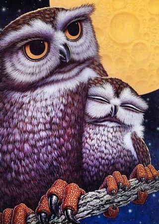 Алмазная вышивка «Совы» Алмазная вышивка «Совы»