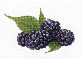 Набор для вышивания «Ежевика»