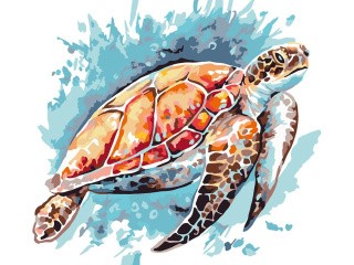 Картина по номерам «Морская черепашка»