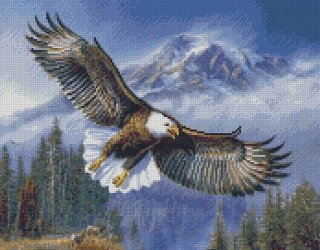 Алмазная вышивка «Орел» Алмазная вышивка «Орел»