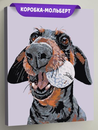 Картина по номерам «Любитель гольфа» Картина по номерам «Любитель гольфа»