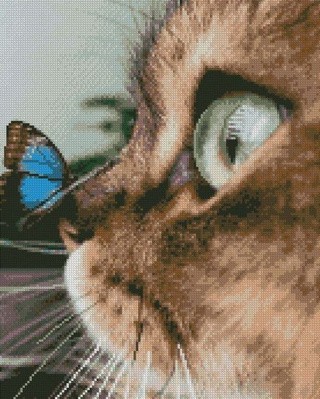 Алмазная вышивка «Бабочка на носу» Алмазная вышивка «Бабочка на носу»