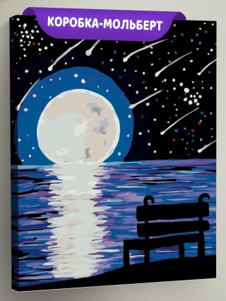 Картина по номерам «Звездопад»