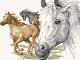 Алмазная вышивка «Портрет лошади» Алмазная вышивка «Портрет лошади»