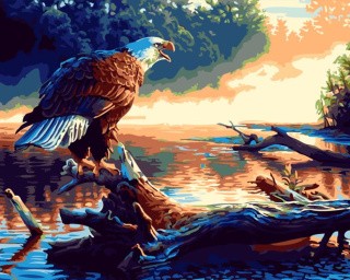 Картина по номерам «Орел на дереве»