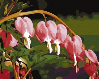 Картина по номерам «Дицентра» Картина по номерам «Дицентра»