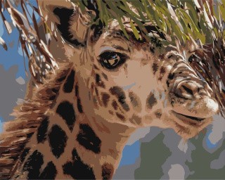 Картина по номерам «Жираф»