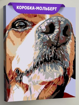 Картина по номерам «Спотти»