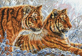 Набор для вышивания «Амурские тигры»