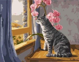 Картина по номерам «Кот у окна» Картина по номерам «Кот у окна»