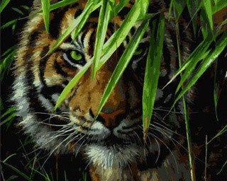 Картина по номерам «Изумрудный лес» Картина по номерам «Изумрудный лес»